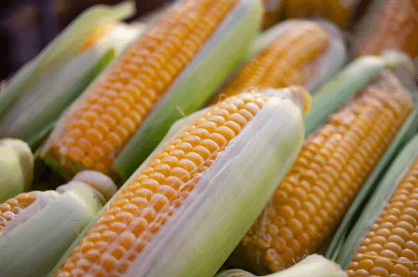 왜 지금 농산물 ETF인가? 인플레이션 시대, 뜨는 3가지 이유