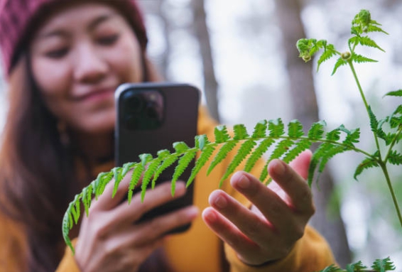 초보도 장비가 좋으면 훨씬더 고급스런 사진을 찍을 수 있는 장면