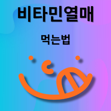 비타민열매 먹는법