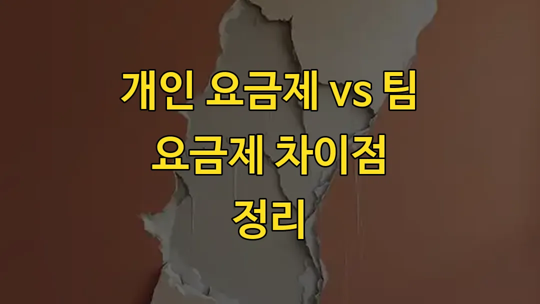 개인 요금제 vs 팀 요금제 차이점 정리