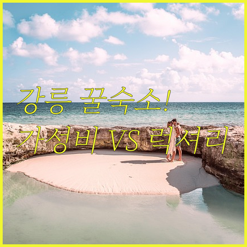 강릉 경포대 송정동 숙소 가성비부터 ..