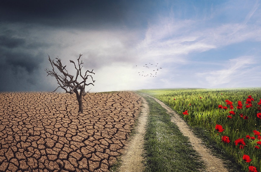 변화를 찾아서 - 인생의 두 번째 챕터