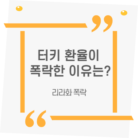 터키 환율 폭락한 이유 썸네일