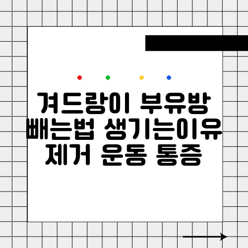 겨드랑이 부유방 빼는법 생기는이유 제거 운동 통증