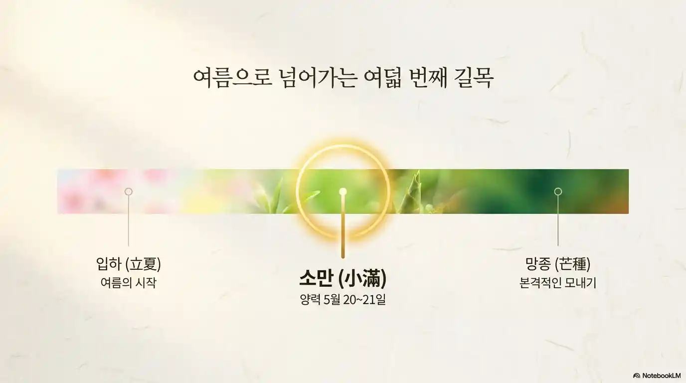 24절기 중 소만의 위치
