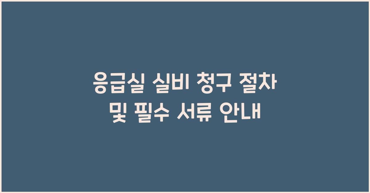 응급실 실비