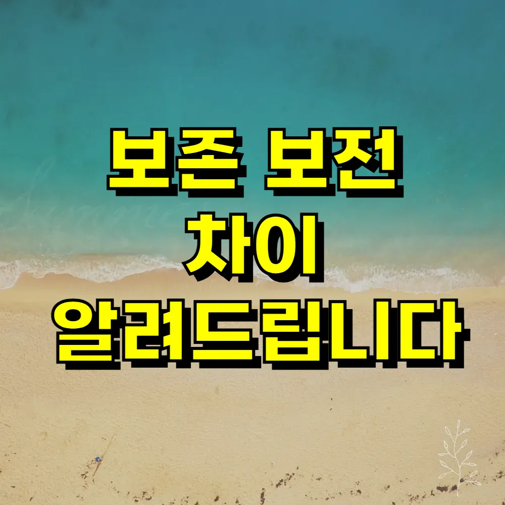 보존 보전 차이 알려드립니다