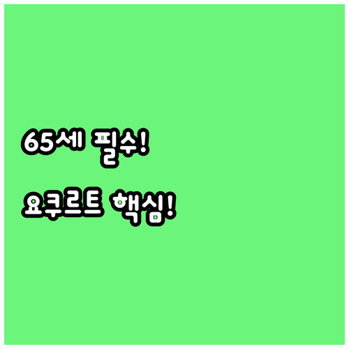 2025 도봉구 65세 이상 독거어르..