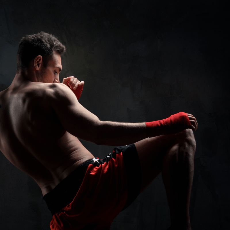 ufc 무료 시청, 정찬성 할로웨이