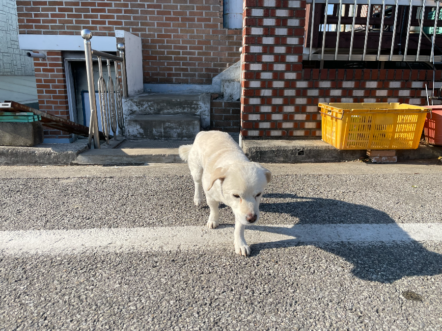 삼척 증산해변