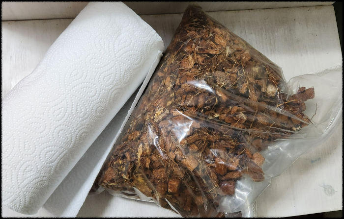 크레스티드-게코-사육장-바닥재