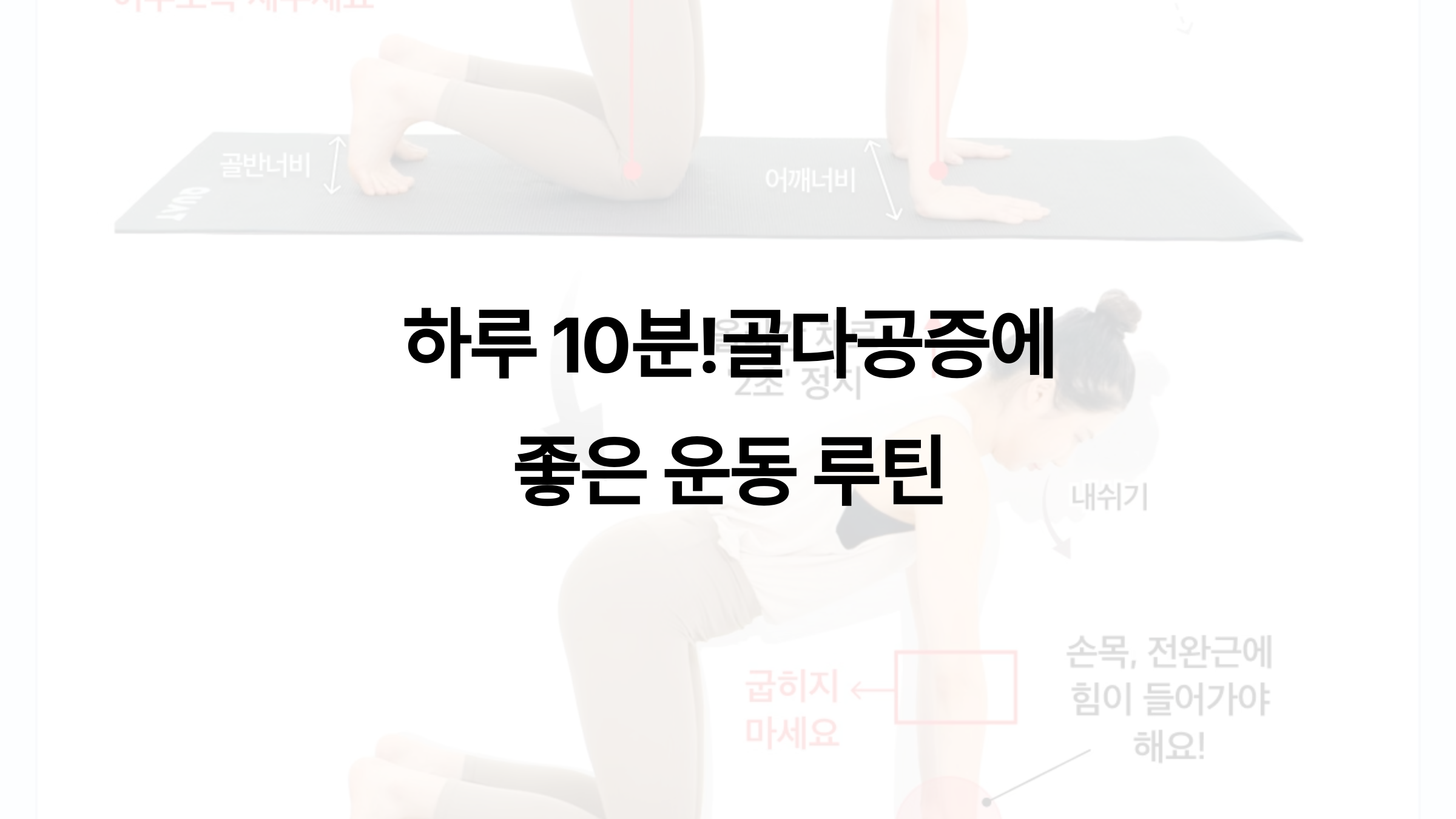 하루10분! 골다공증에 좋은 운동 루틴 총정리