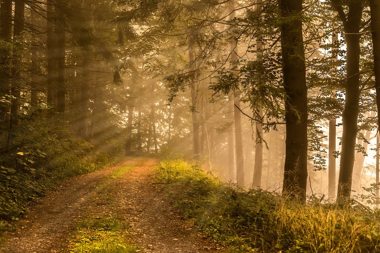 아침 10분 루틴으로 건강 지키는 법