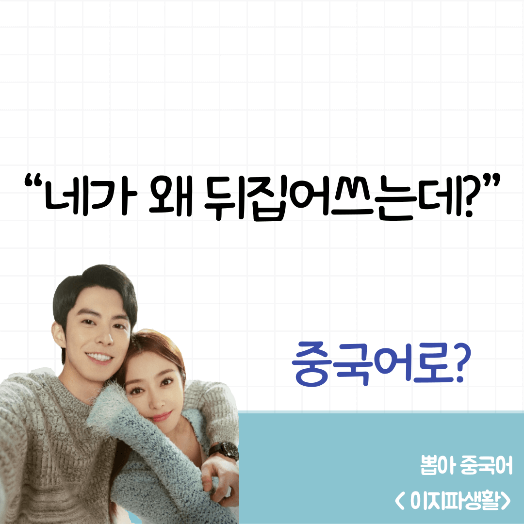 이지파생활