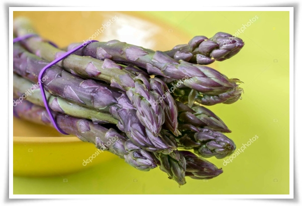 텃밭 "아스파라거스 기르기" 한 번 심으면 10년 동안 거두는 황금 채소!