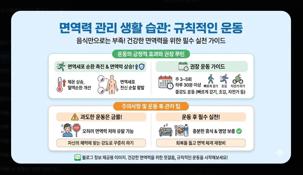 면역력 높이는 음식 베스트 10 [2026년판] 강화 식품 섭취법 및 생활 습관 총정리