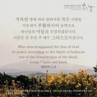 로마서 1장 설교 아이디어 복음 말씀 강해_4