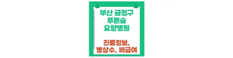 부산 금정구 푸른숲 요양병원 진료정보,병상수,비급여-문구-썸네일