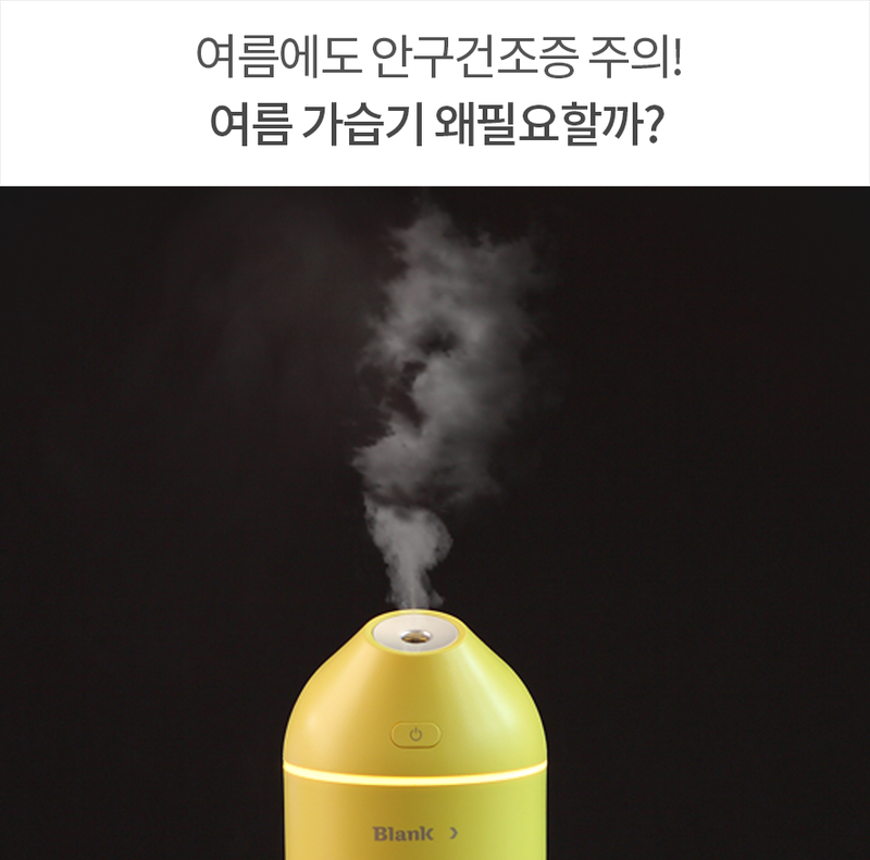 가습기 추천