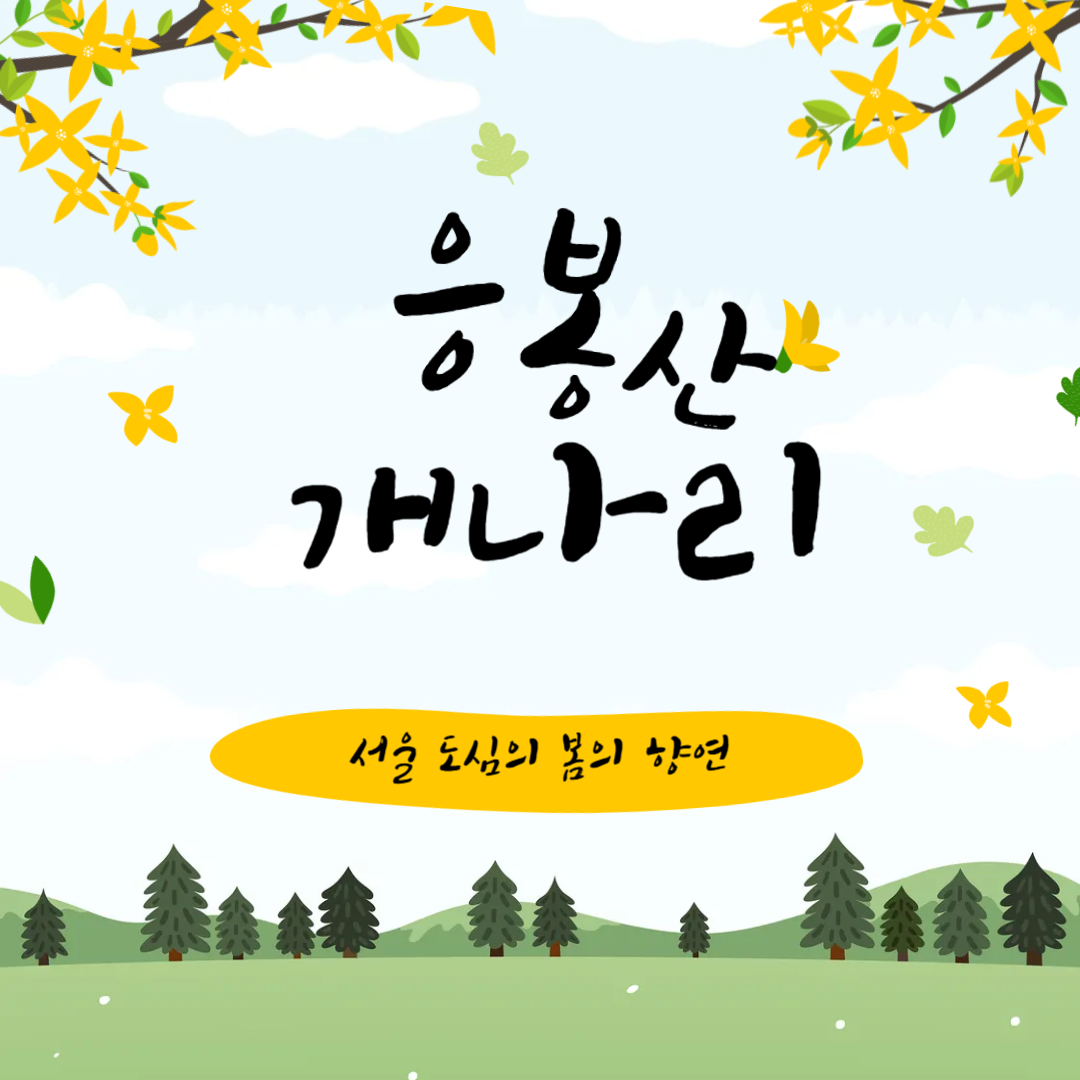 응봉산 개나리 서울 도심에 봄의 향연 여행기