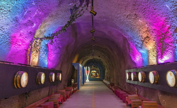 무주 머루와인동굴