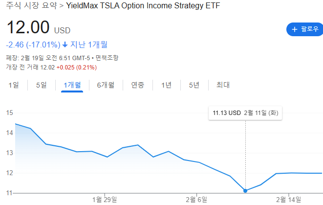 TSLY주가 1월TSLY주가 25년1월TSLY주가 테슬리주가 1월테슬리주가 25년1월테슬리주가