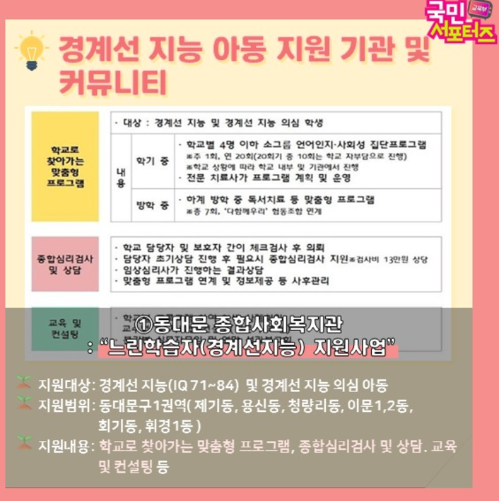 경계성지능장애 원인과 증상 및 치료지원방법