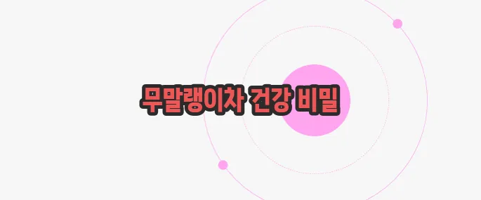 무말랭이차 효능 천천히 들여다보죠