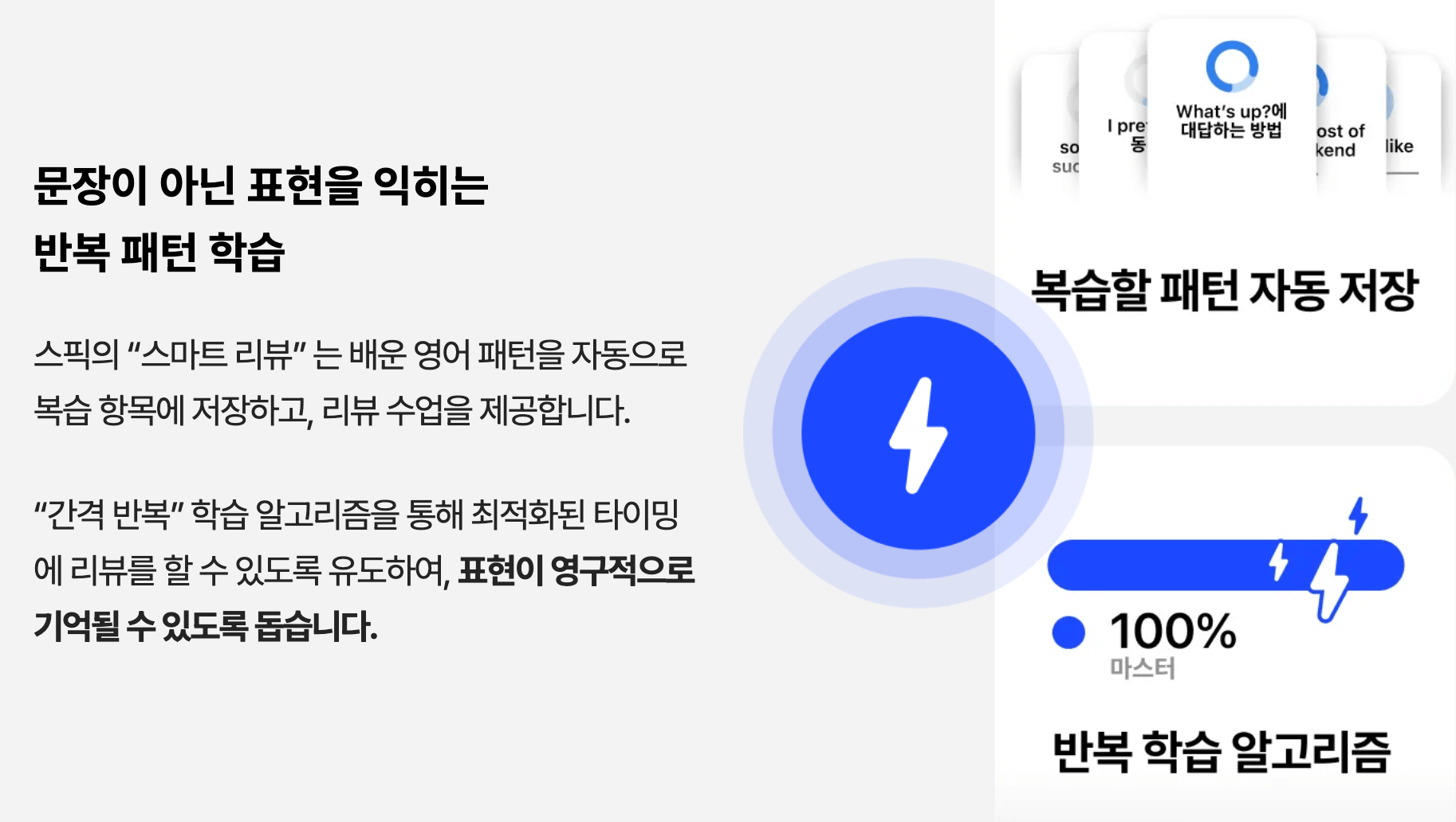 스픽 장점 및 단점 정리