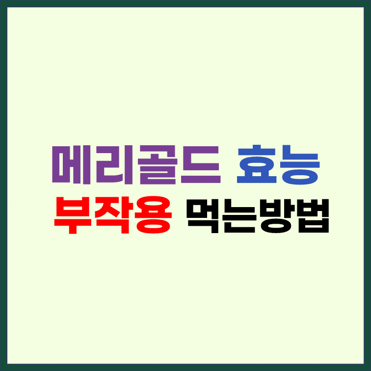 메리골드-효능-부작용-먹는-방법