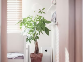 감정평가사 자격증 시험 과목 및 연봉 합격 전략