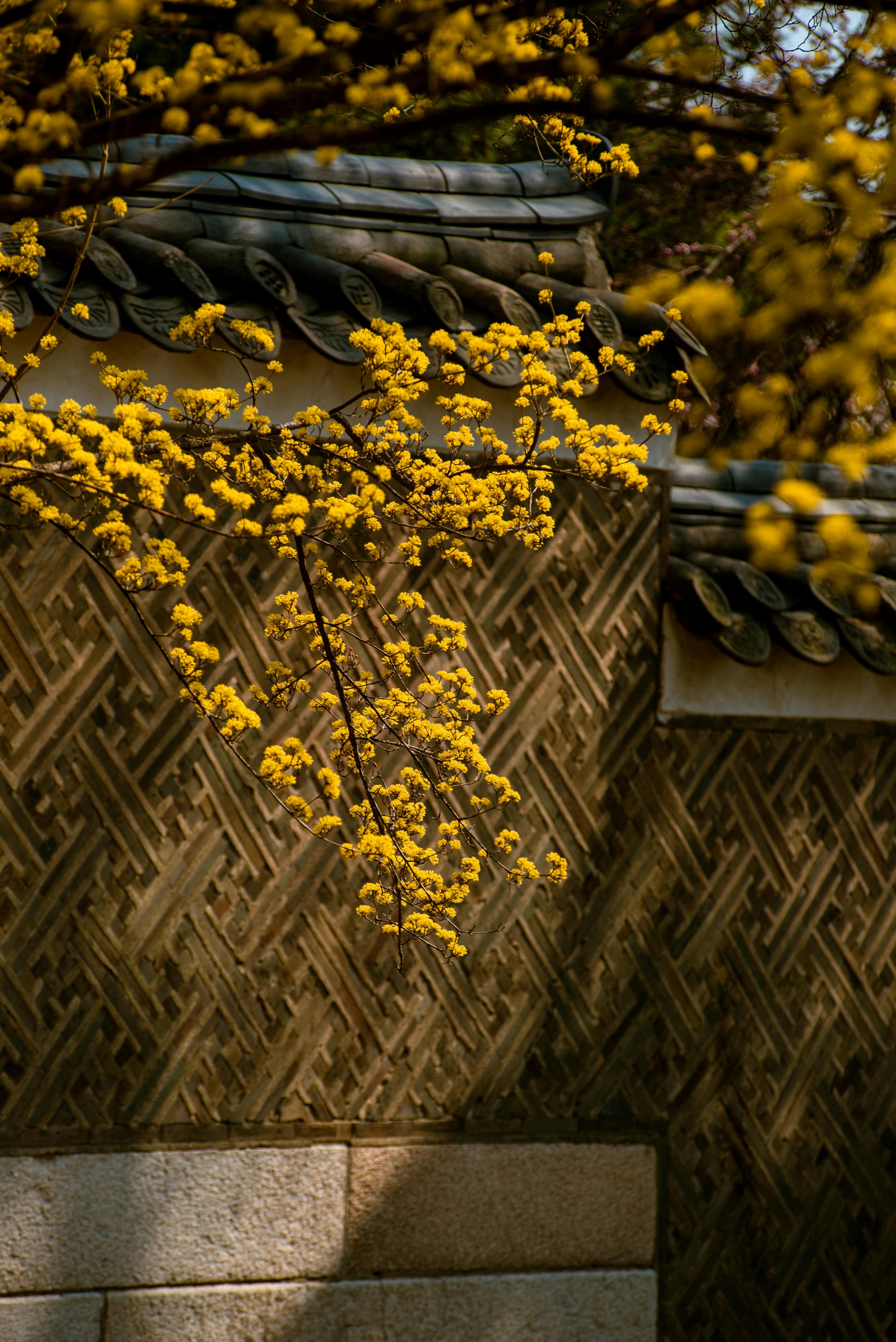 우울증 극복 일상 관리법