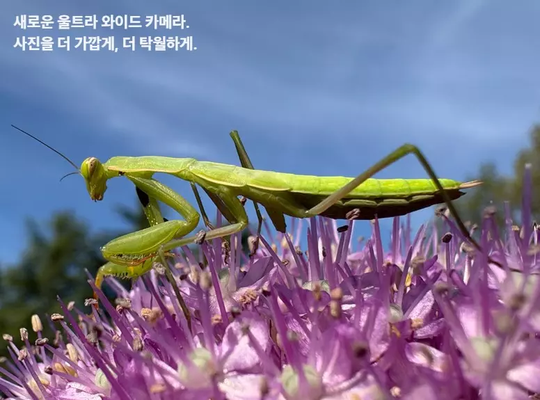 향상된 카메라 성능