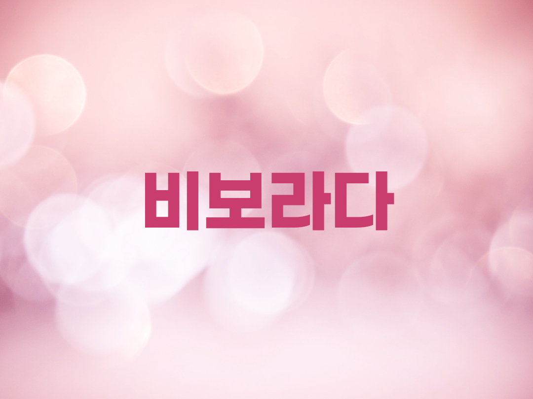 비보라다 천주교 여자세례명