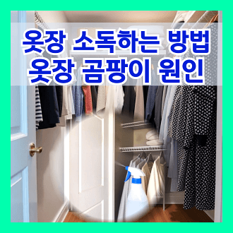 옷장 소독하는 방법 및 옷장 곰팡이 원인