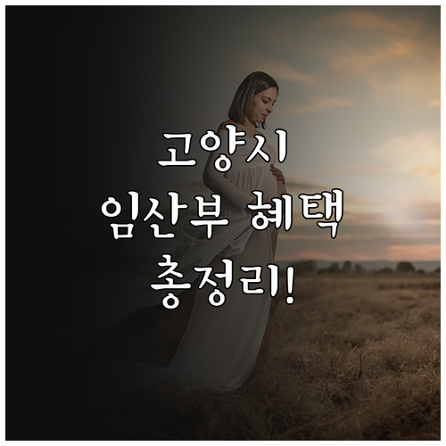 고양시 임산부 혜택 2025: 엽산제..