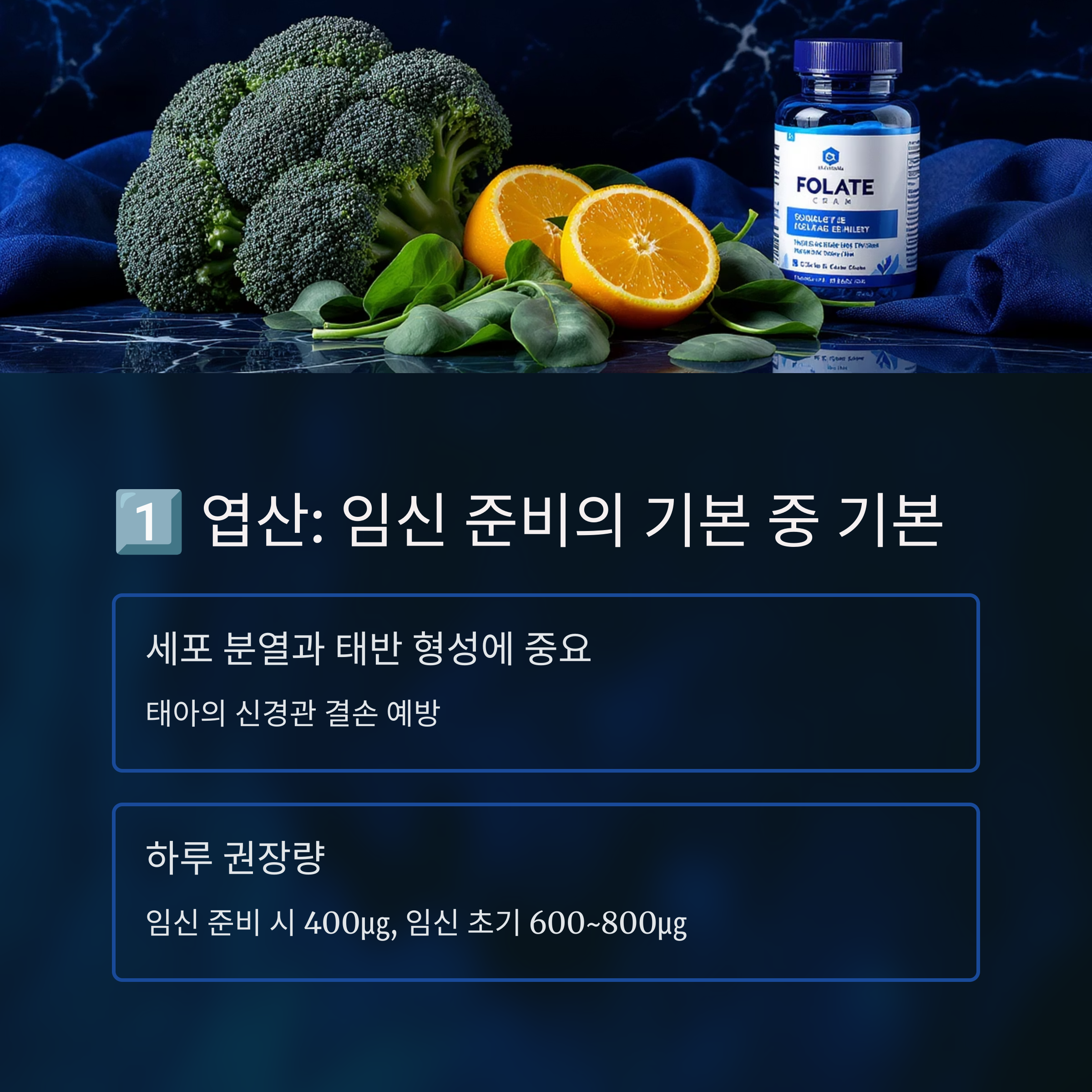 엽산의 중요성과 권장량을 설명하는 인포그래픽 이미지로, 브로콜리와 오렌지, 엽산 보충제가 함께 놓여 있음