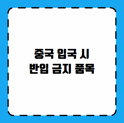 중국 입국 시 반입 금지 품목