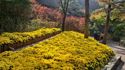 단풍명소_화담숲_하경정원