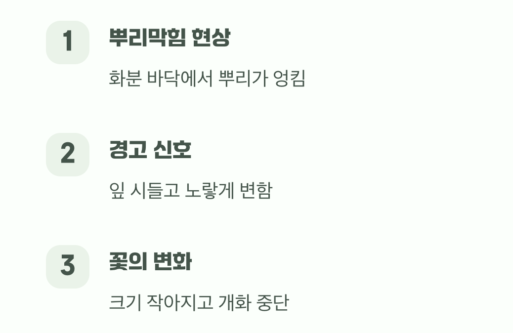 답답한 집이 부르는 재앙