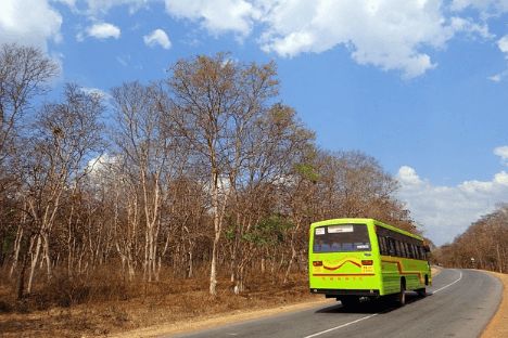 티머니 설날 고속버스 예매