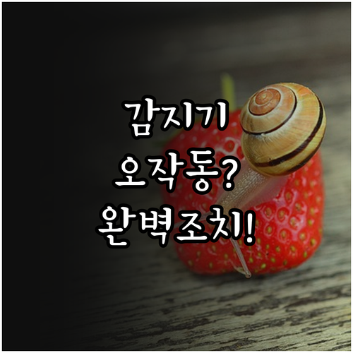 감지기 오작동 원인 분석과 장소별 임..