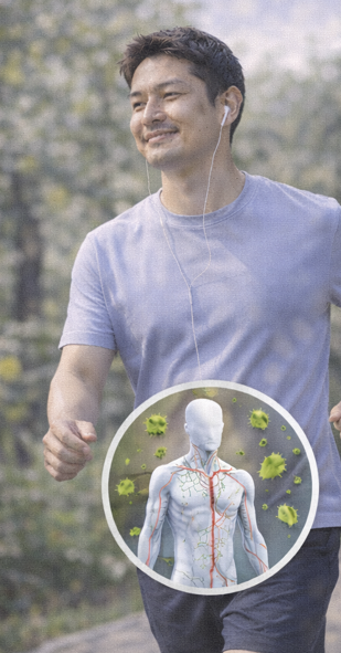 걷기로 면역 시스템 순환시키기 관련 사진