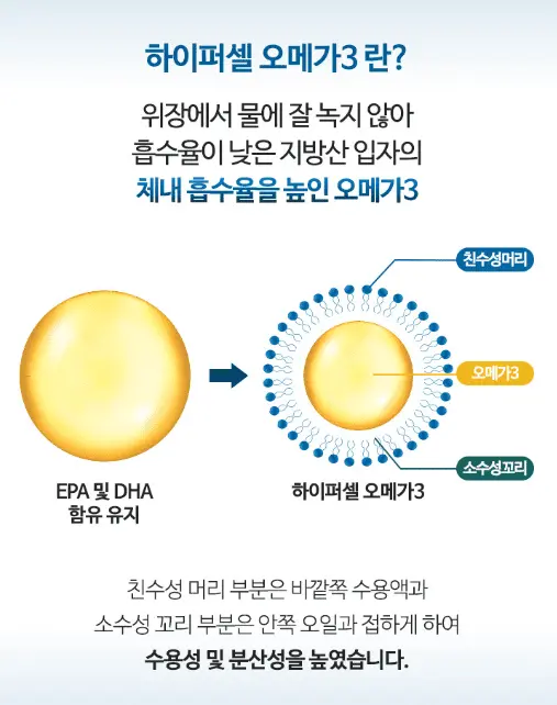 시니어 뇌 건강 영양제 추천 뉴트리코어 파이퍼셀 rTG 오메가3