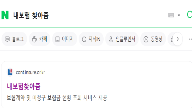 보험 조회방법