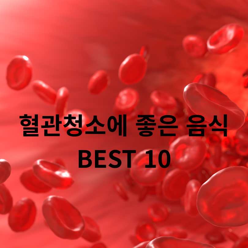 혈관청소에 좋은 음식 BEST 10