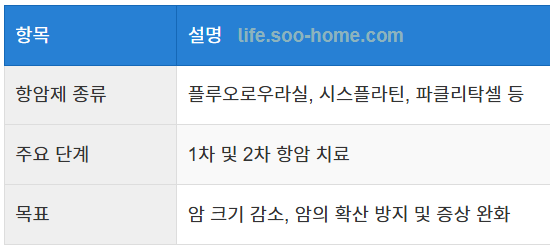 항암 요법