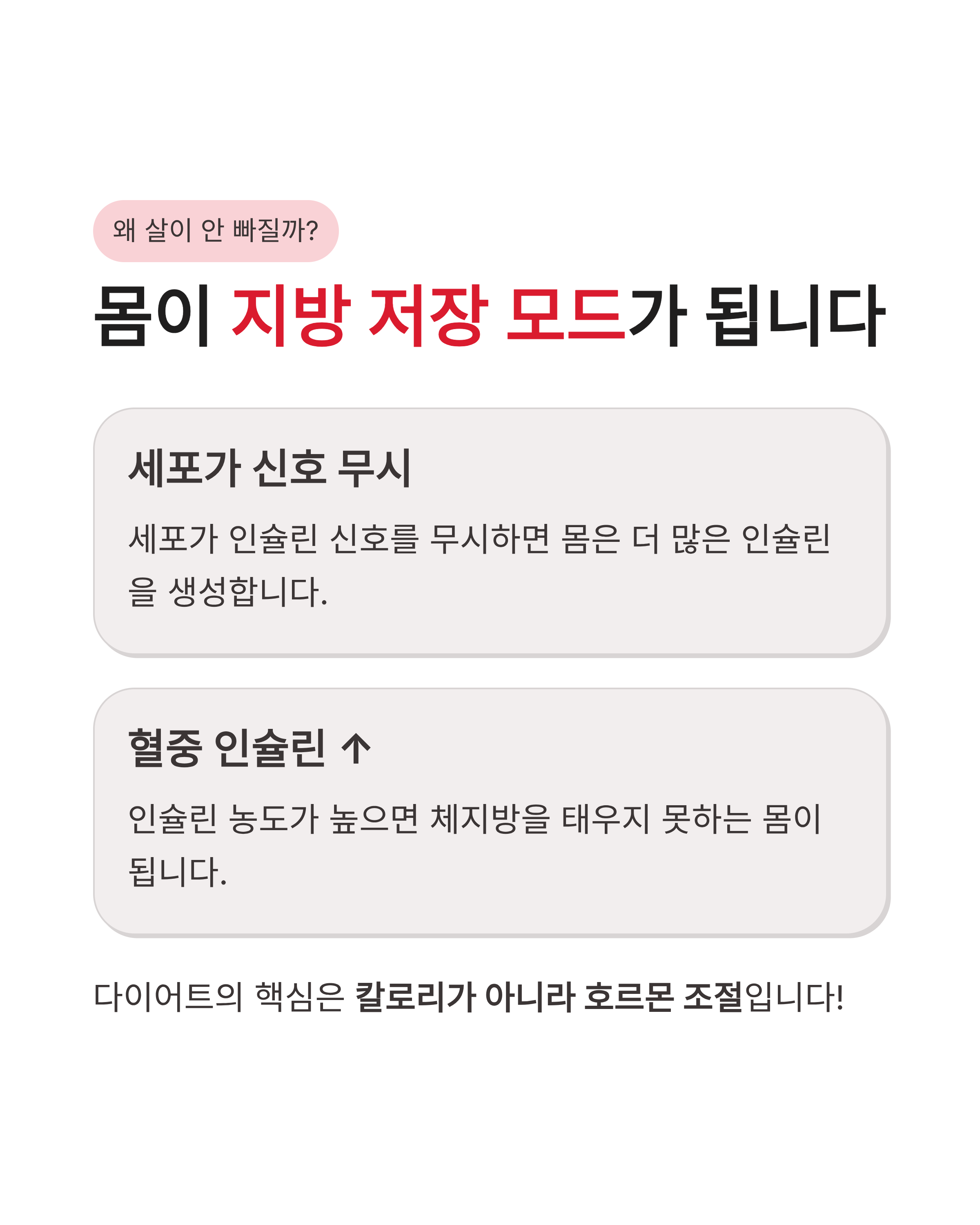 인슐린 저항성과 다이어트와의 관계, 뱃살이 안 빠지는 진짜 이유와 해결법 총정리!