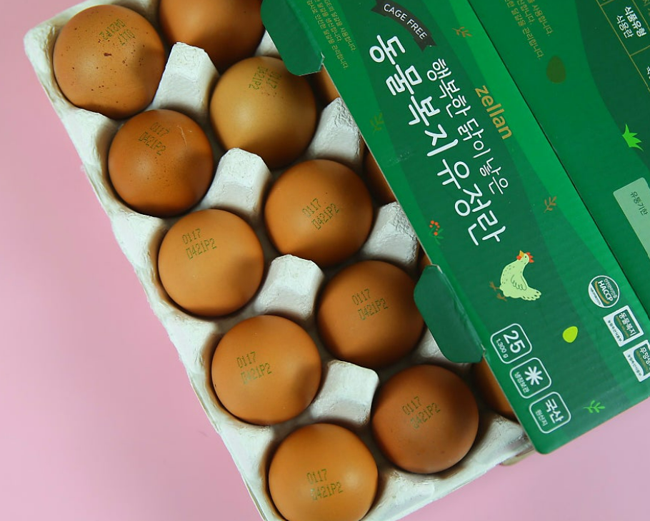 오늘엔 동물복지유정란 젤란(오경농장) 안내 