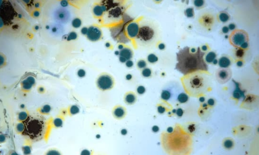 실리콘 틈새 곰팡이 제거하는 세 가지 방법